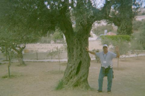 Garden of Gethsemane