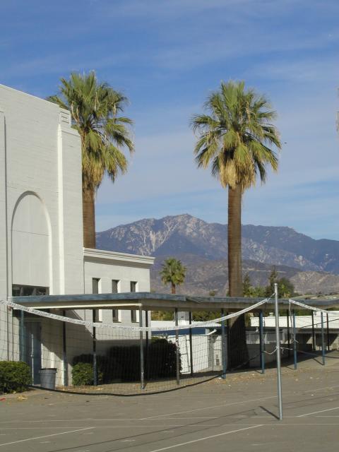 Volleyball Courts