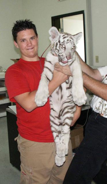 My son R.D. and a white tiger