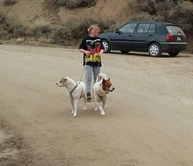 My dogs and I (2005)