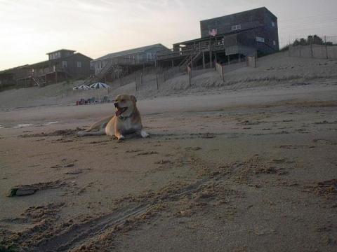 Angel & Beach House