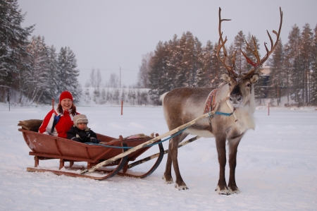 reindeer sleigh
