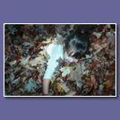 Haley_in_Leaves