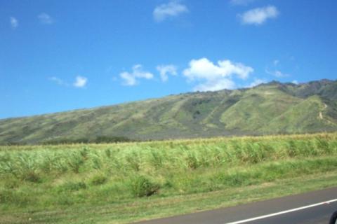 West Maui Mountains