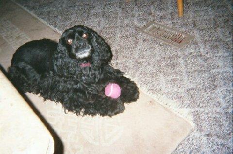 Stormy with Ball