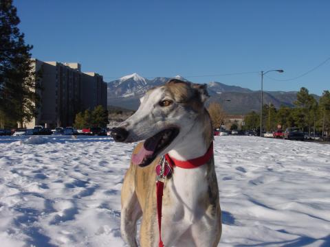 Jeri In Colorado