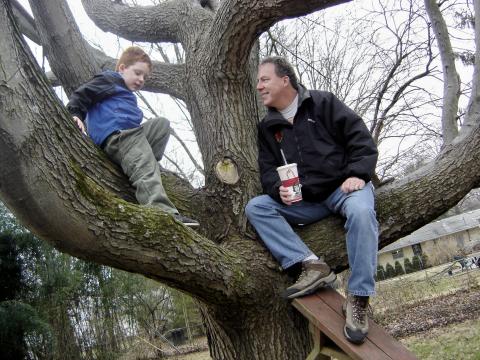 Tree Buddies