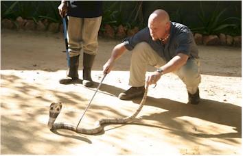 Chris Harper w cobra in Sri Lanka