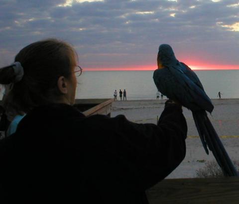 Missy & Qwaz - Venice Beach FL