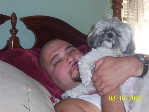 Husband&princess dog