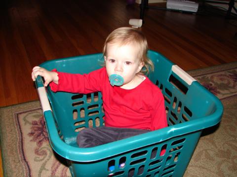 Ava In A Basket