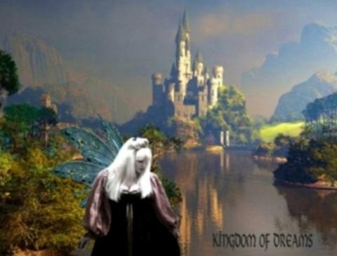 KINGDOM OF DREAMS#1