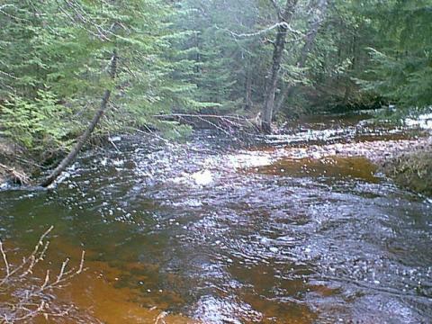 A Great Creek shot