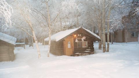 The Log Cabins!