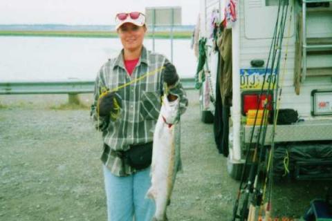 Silver Salmon Kasilof River AK