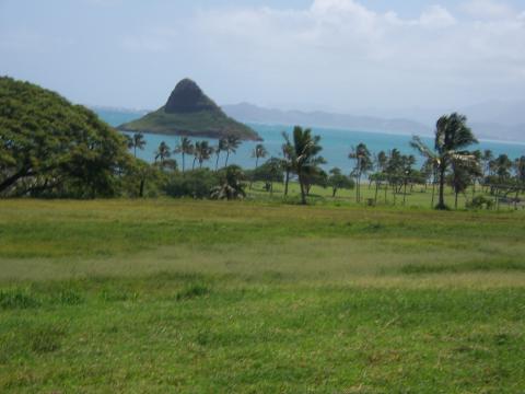 CHINAMAN'S HAT