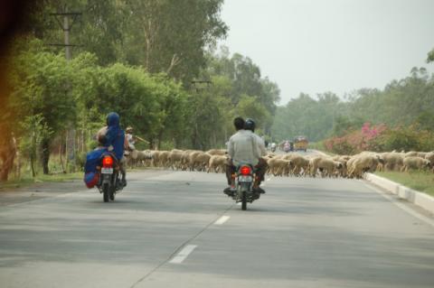 Road Block in India