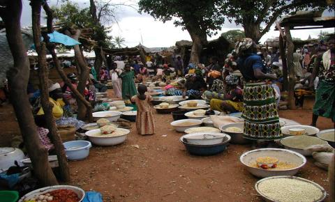 Local Market