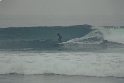 Rex Luvs Surfing