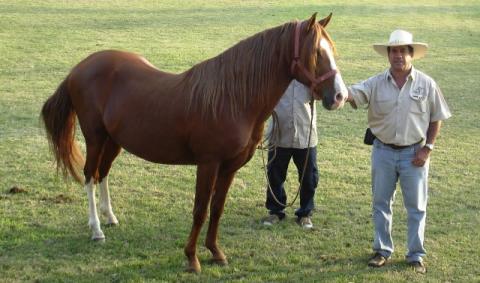 Telemaco con Misterfinca en Peru 2006