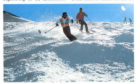 bill_and_dave_skiing
