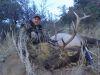 11-05 Unit 27 AZ Elk Hunt