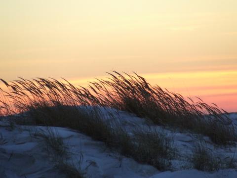 dune sunset