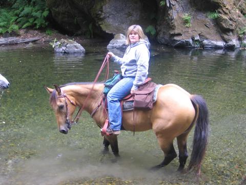 Me on my AQHA gelding