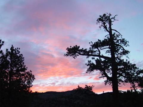 Cabin Sunset