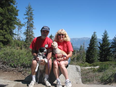 Family at viewpoint