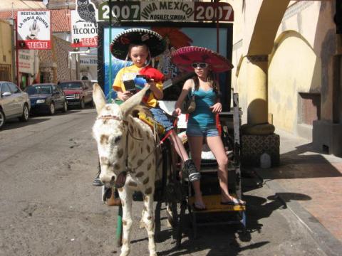 same donkey another picture mexico