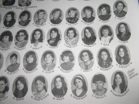 PS 96 Class of June of 1974 006