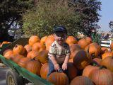 Joey with pumkins - small