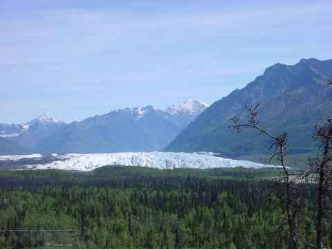 Matanuska_Glacier1