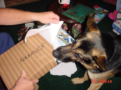rex opening gifts