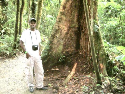 CostaRica Rainforest