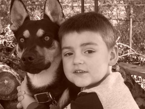 My son and our dog