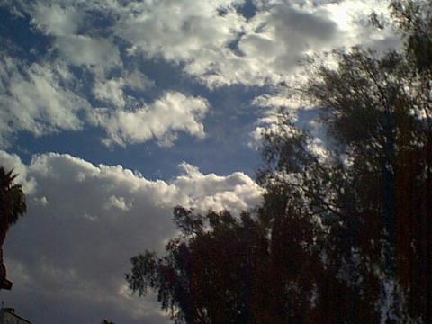Phoenix Skyline - 03/2003