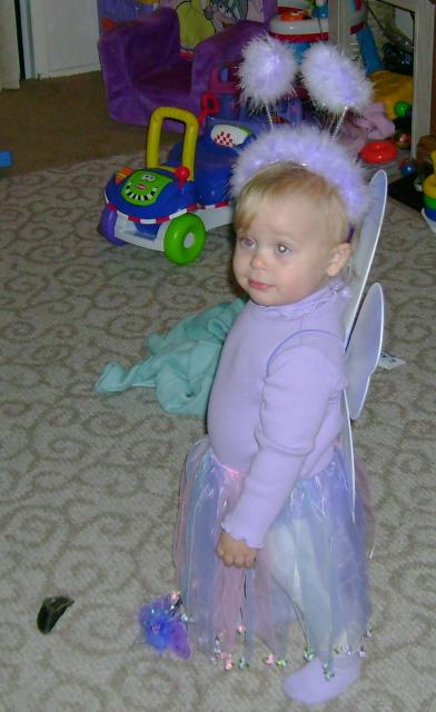 fairy princess 2006