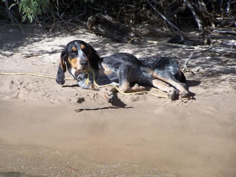 Tanner at the river