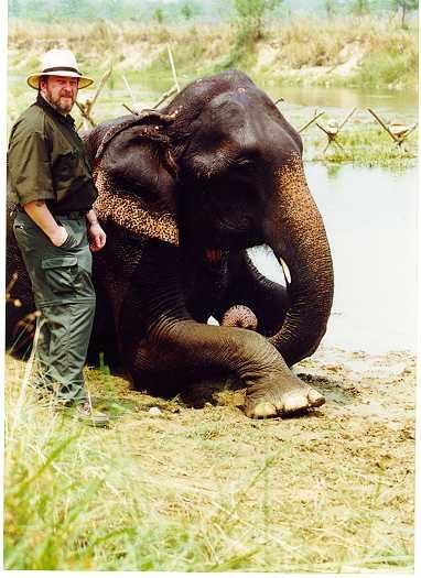 Chitwan Jungle