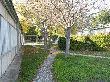 Lots of growth between the buildings