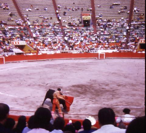 Plaza Mexico Bullfight