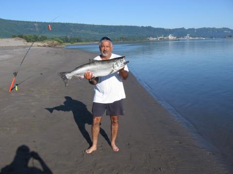 COLUMBIA RIVER SALMON