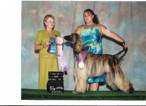 Best in Show