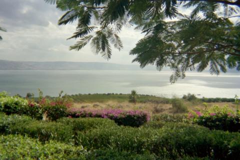 MT Beatitude/Sea of Galilee