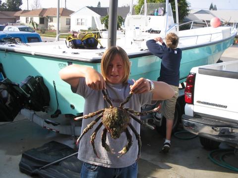 my other son kevin and his crab