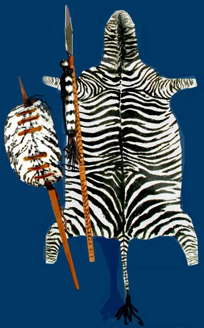 zebra rug & shield