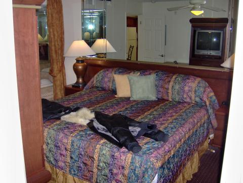 Las Vegas 2008 Bedroom