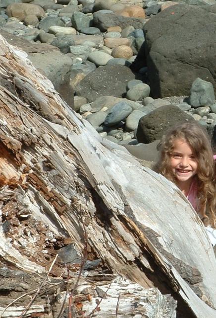 Baylee on the beach